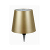 LED bottle lamp