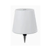 LED bottle lamp