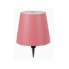 LED bottle lamp